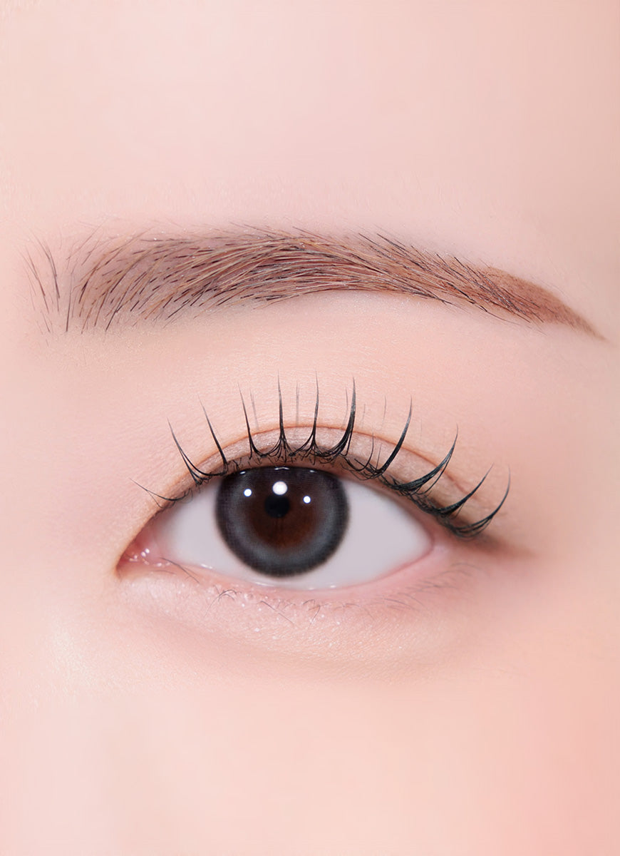 YOUS パンデイアムルビット